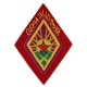 Нарукавный знак «ОБРАЗЦОВЫЙ»  Пехоты Рабоче-Крестьянской Красной Армии, обр. 1922 г.